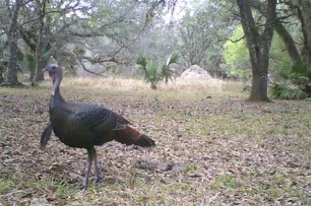 32000 Okeechobee Road Fort Pierce, FL 34987 - Photo 34 of 35 Gallery Image 34
