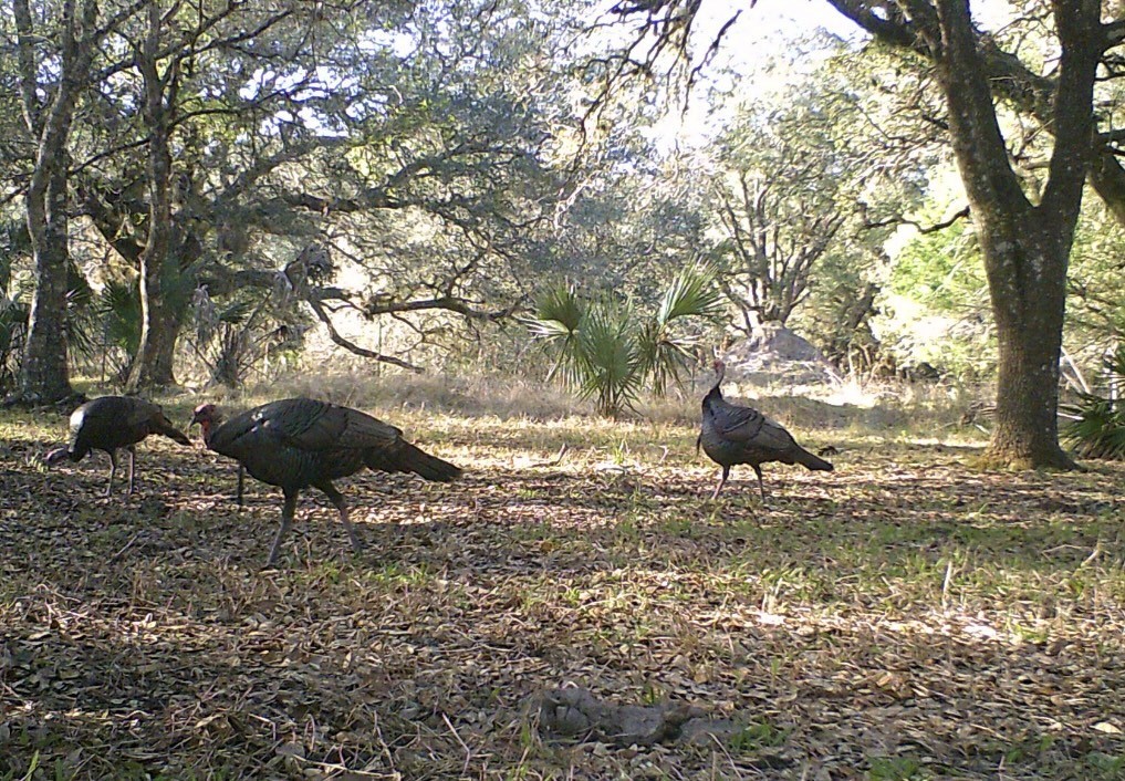 32000 Okeechobee Road Fort Pierce, FL 34987 - Photo 35 of 35 Gallery Image 35