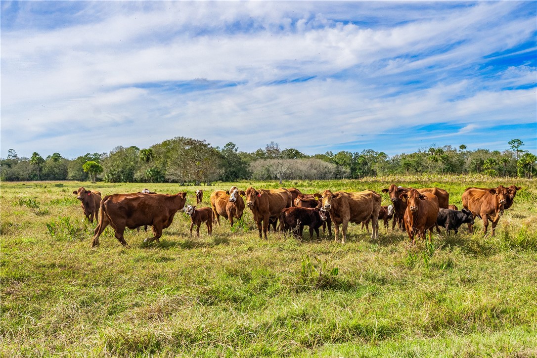32000 Okeechobee Road Fort Pierce, FL 34987 - Photo 5 of 35 Gallery Image 5