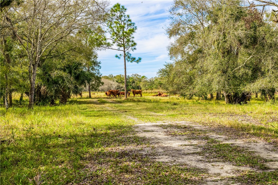 32000 Okeechobee Road Fort Pierce, FL 34987 - Photo 6 of 35 Gallery Image 6