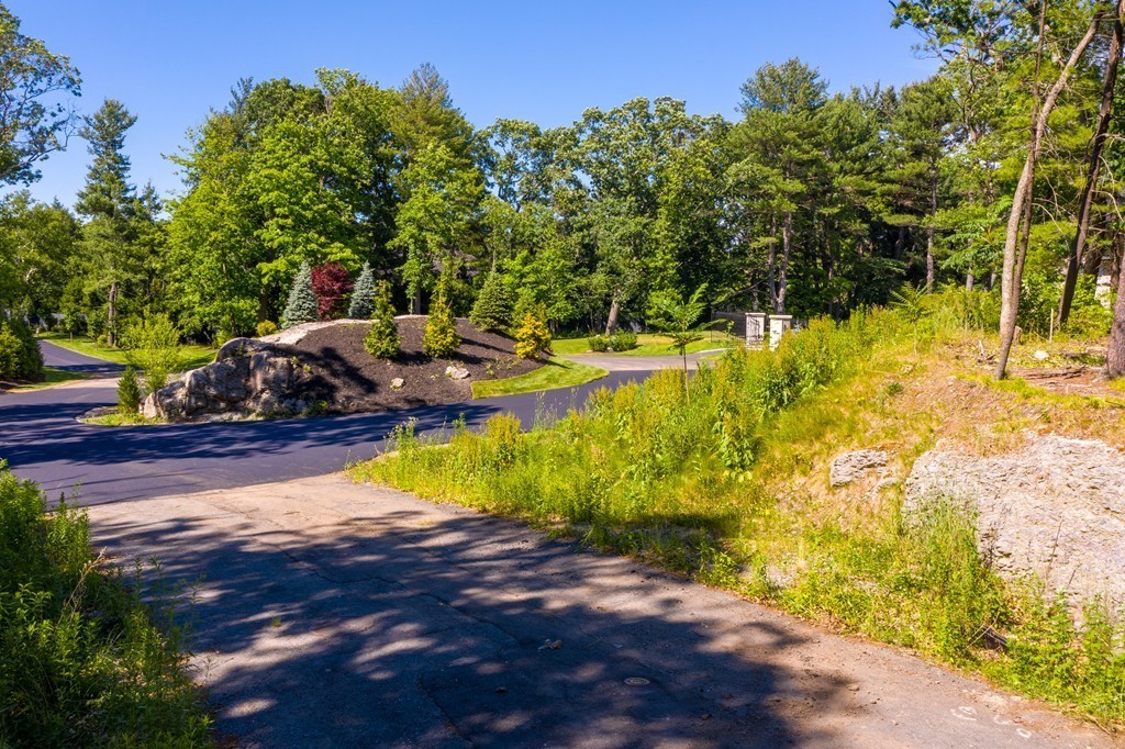 29 Sears Road Brookline, MA 02445 - Photo 4 of 4 Gallery Image 4