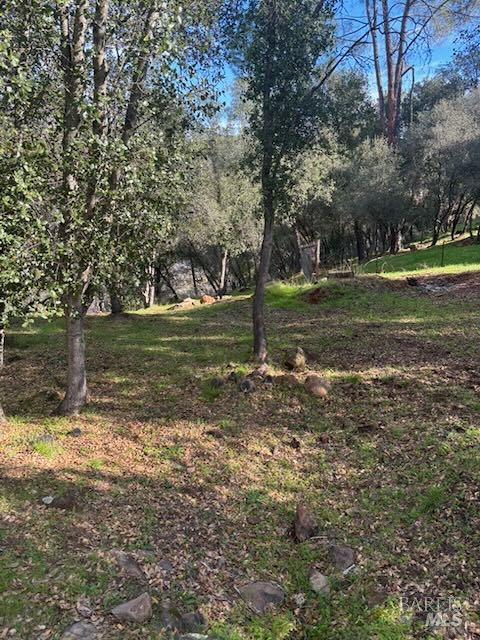 214 Colt Court Pope Valley, CA 94567 - Photo 1 of 7