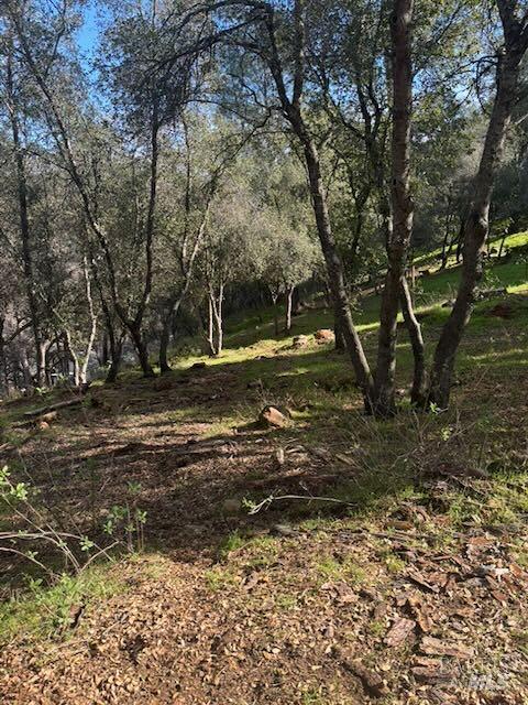 214 Colt Court Pope Valley, CA 94567 - Photo 2 of 7