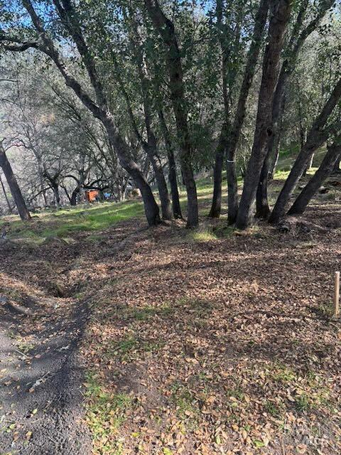 214 Colt Court Pope Valley, CA 94567 - Photo 2 of 7