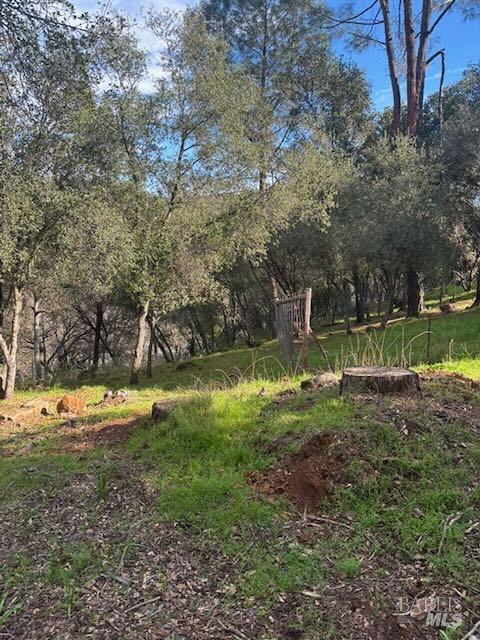 214 Colt Court Pope Valley, CA 94567 - Photo 5 of 7