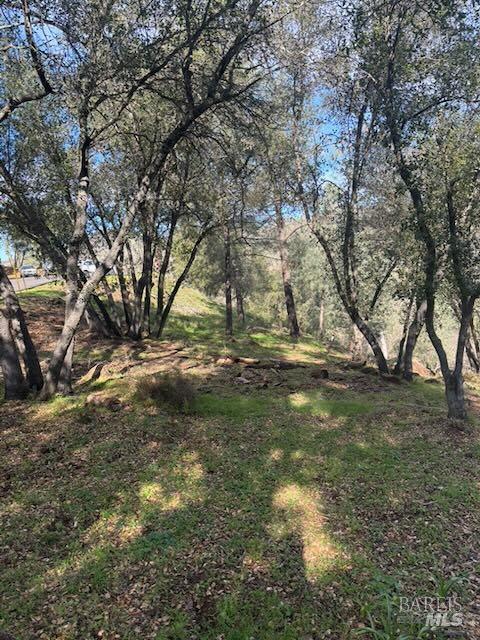 214 Colt Court Pope Valley, CA 94567 - Photo 6 of 7