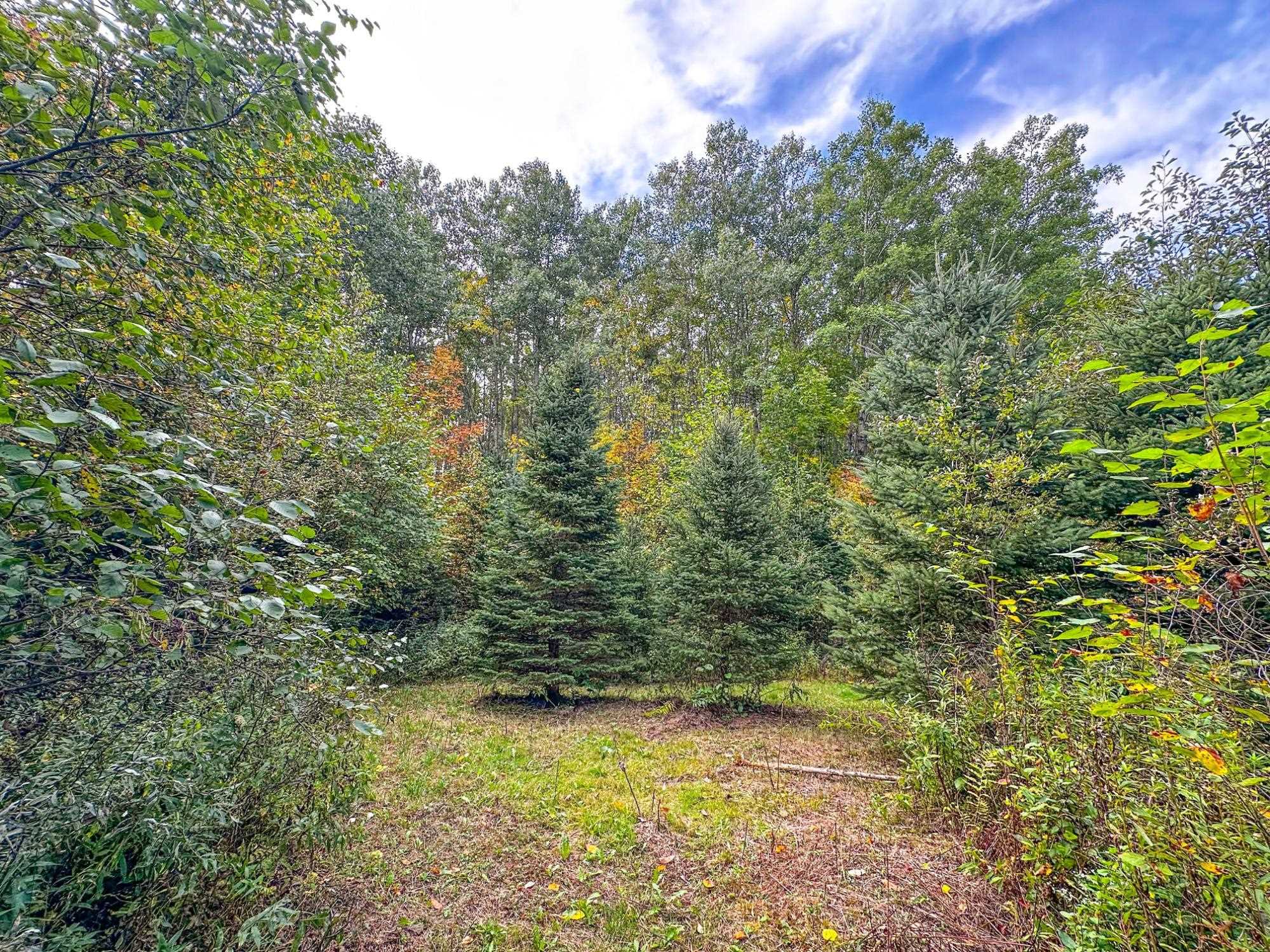 72281 Hennes Road Glidden, WI 54527 - Photo 38 of 50