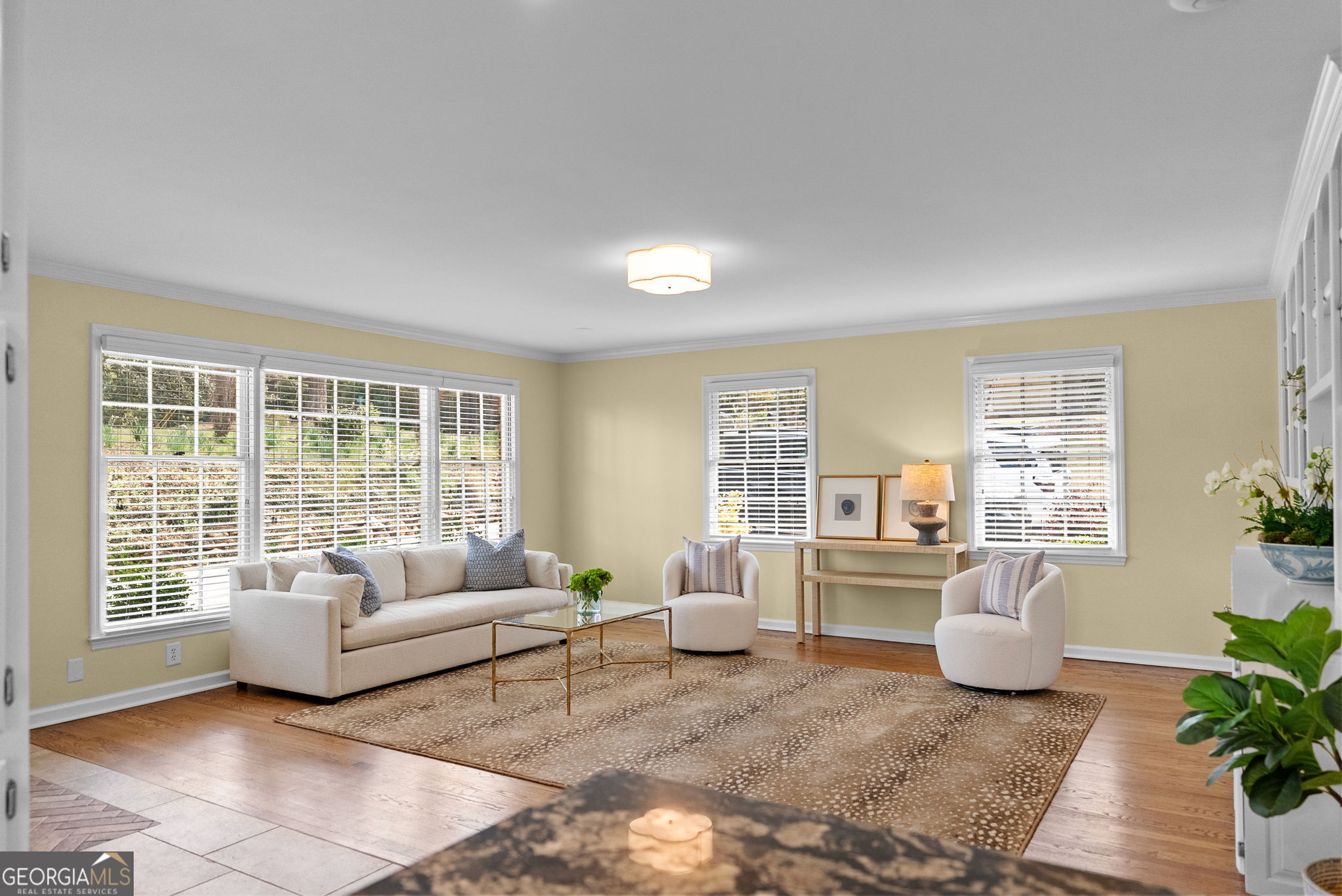 206 Fortson Drive Athens, GA 30606 - Photo 20 of 54 a living room with furniture and floor to ceiling windows
