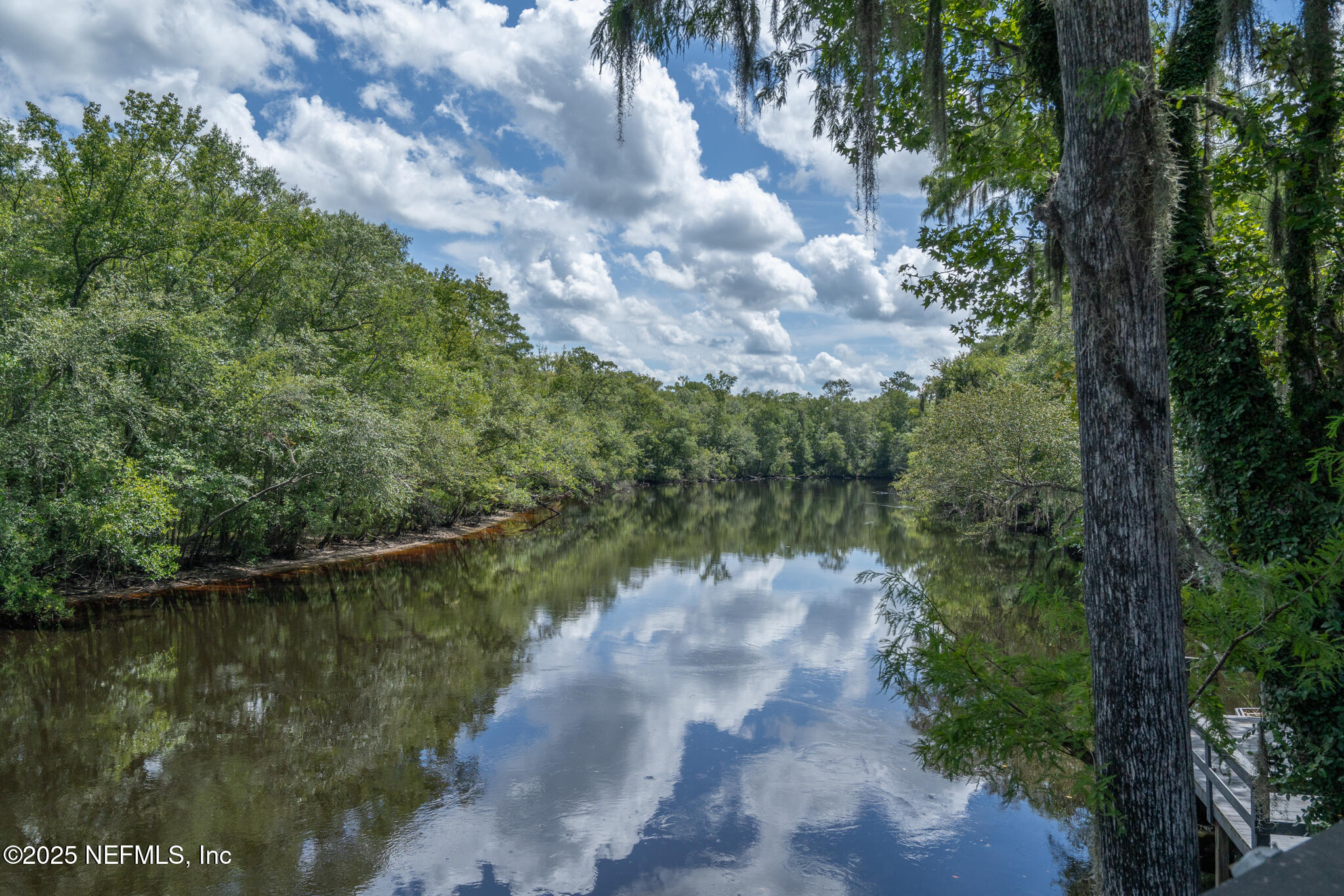 181040 Autumn Road Hilliard, FL 32046 - Photo 13 of 46 a view of a lake with a yard and large trees