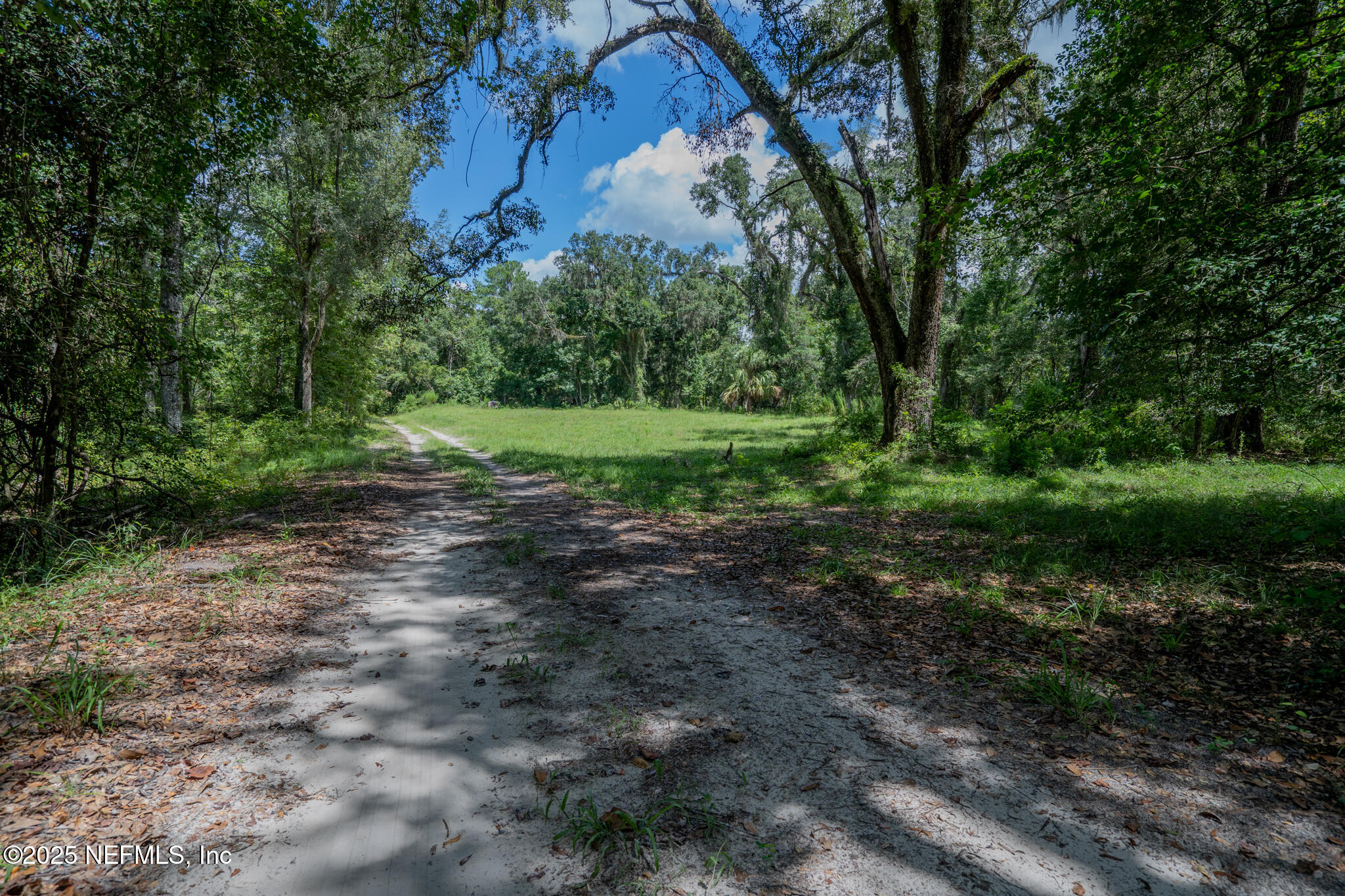 181040 Autumn Road Hilliard, FL 32046 - Photo 22 of 46 a view of a yard with a tree