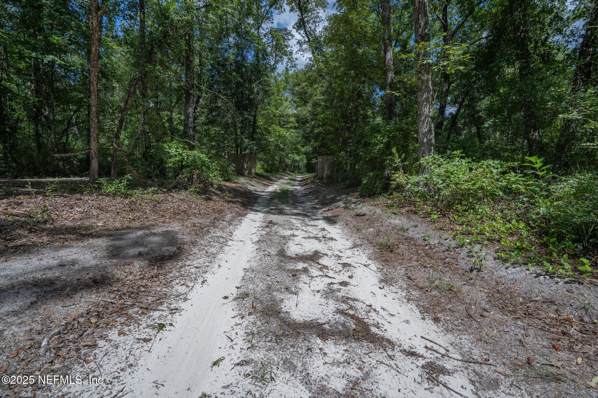 181040 Autumn Road Hilliard, FL 32046 - Photo 23 of 46 a view of a dirt road with trees in the background