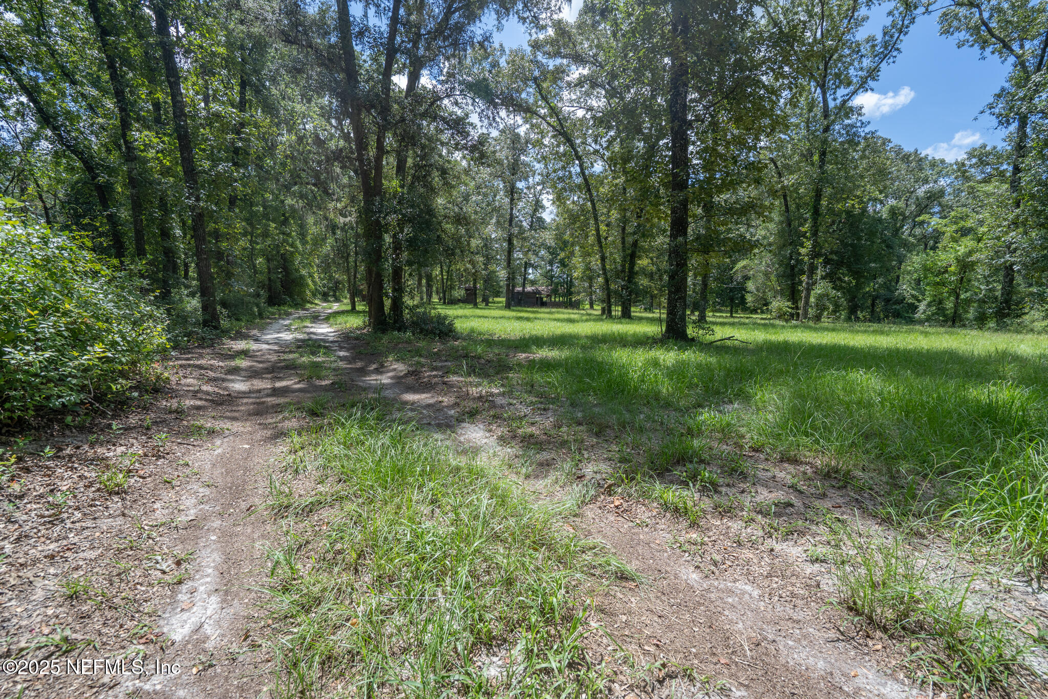 181040 Autumn Road Hilliard, FL 32046 - Photo 24 of 46 a view of a forest with trees in the background