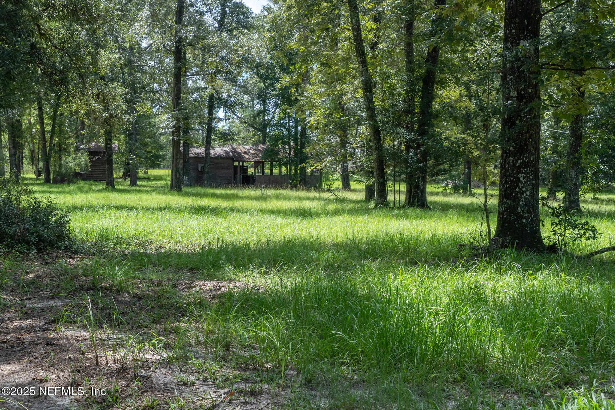 181040 Autumn Road Hilliard, FL 32046 - Photo 25 of 46 a big yard with lots of green space and trees in the background