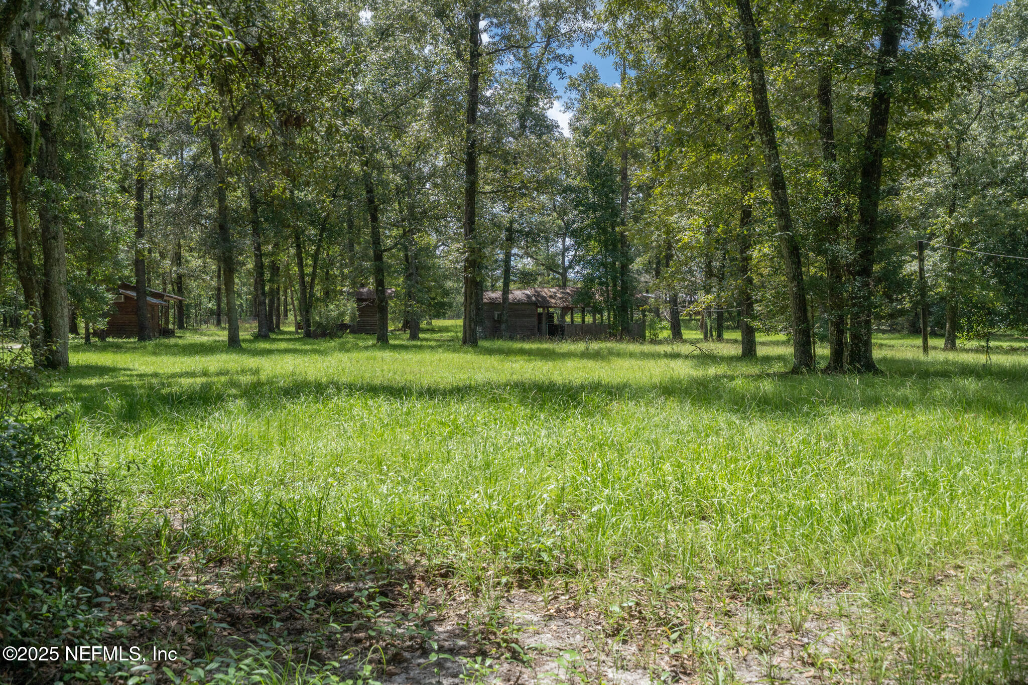 181040 Autumn Road Hilliard, FL 32046 - Photo 26 of 46 a view of a grassy field with trees