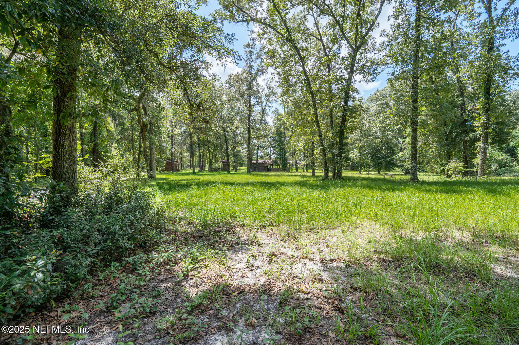 181040 Autumn Road Hilliard, FL 32046 - Photo 27 of 46 a view of a grassy field with trees