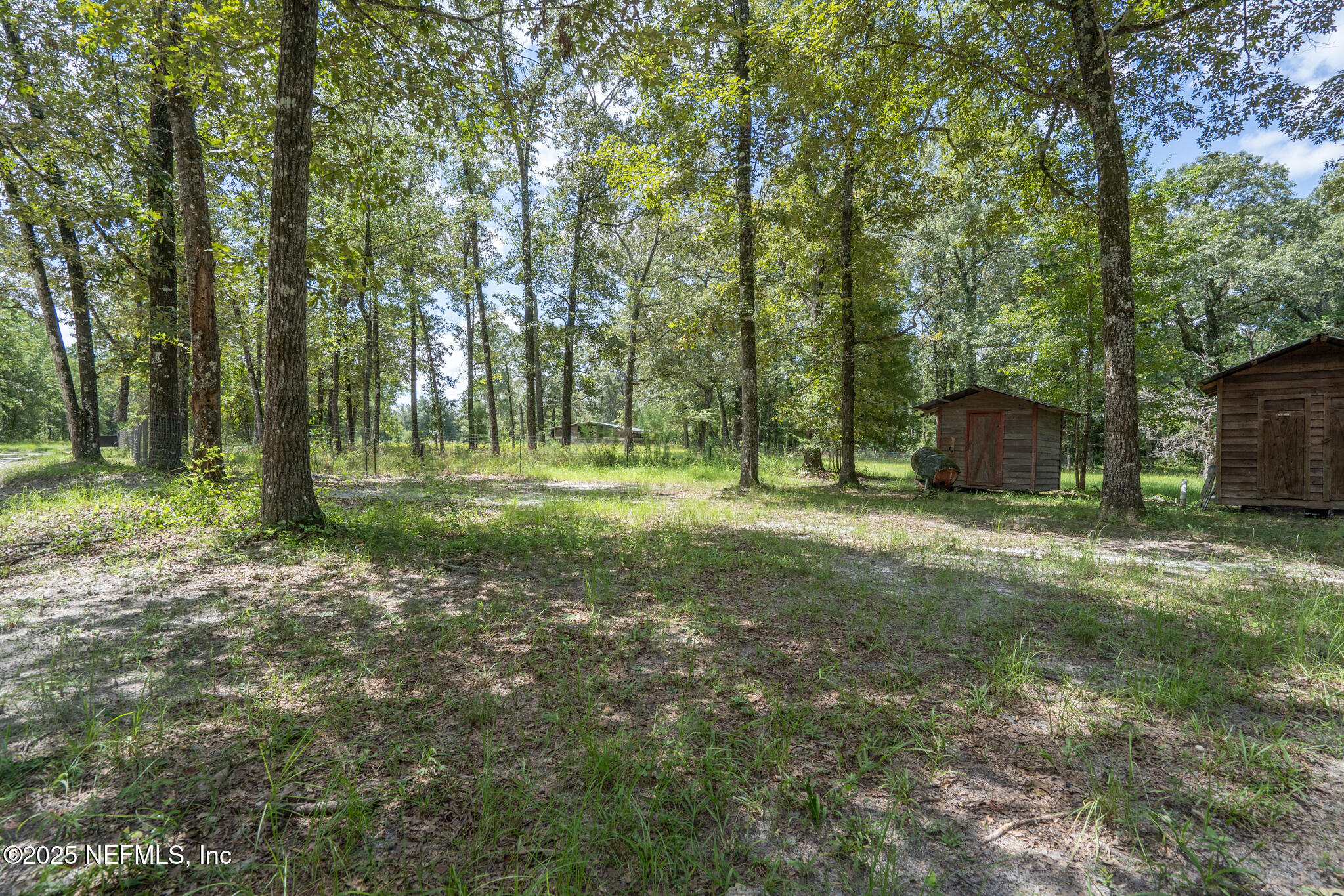 181040 Autumn Road Hilliard, FL 32046 - Photo 29 of 46 a view of outdoor space with trees all around
