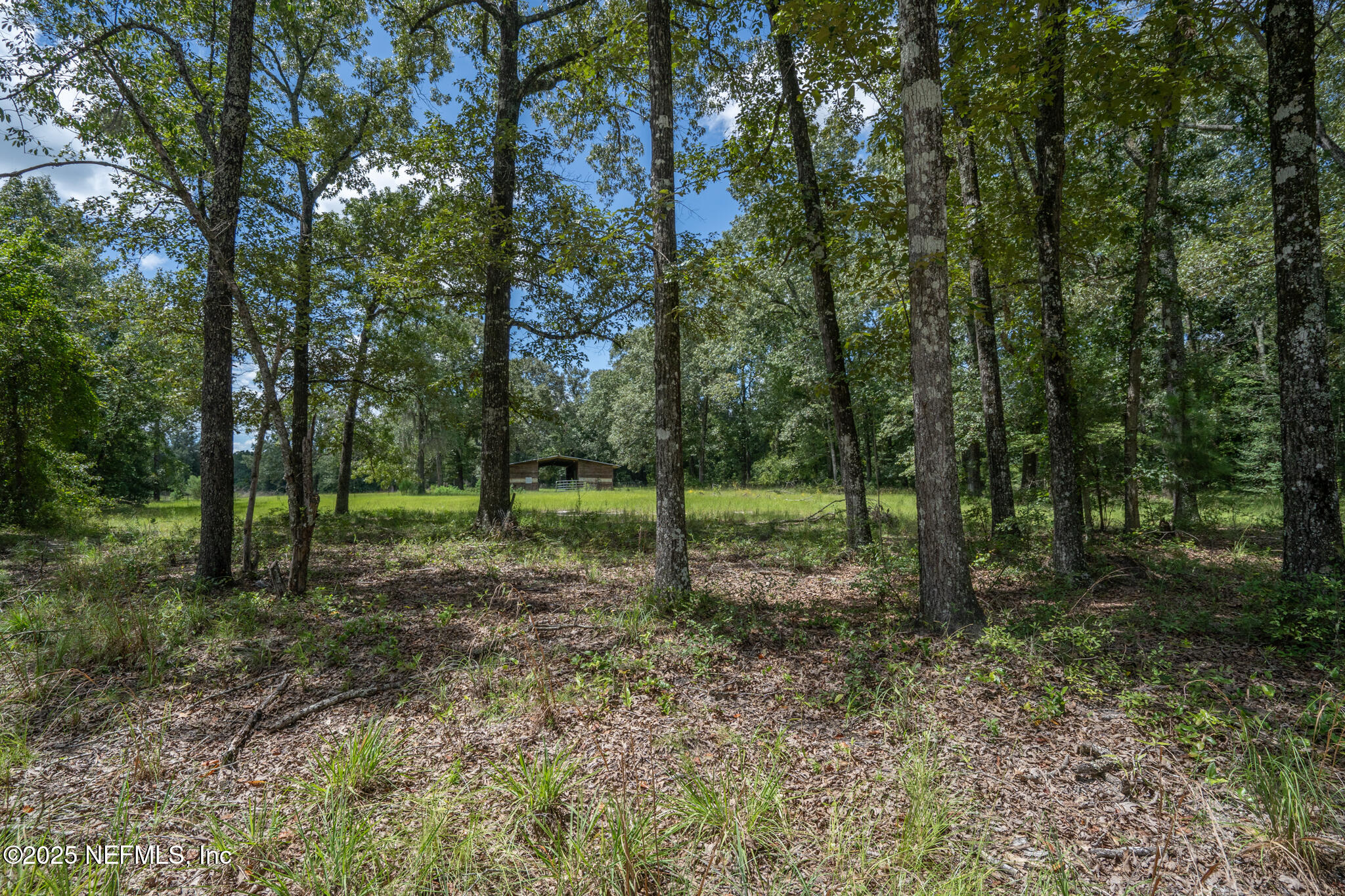 181040 Autumn Road Hilliard, FL 32046 - Photo 32 of 46 a view of a park