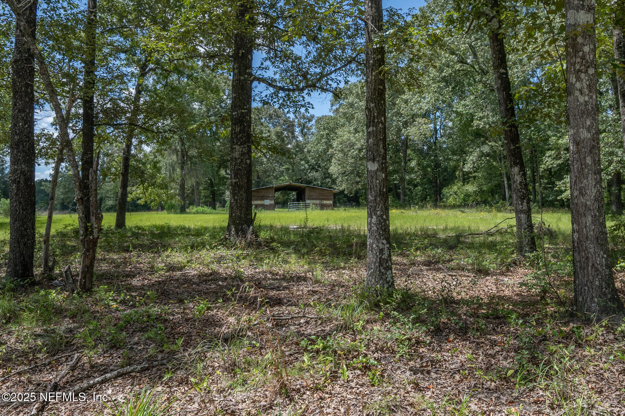 181040 Autumn Road Hilliard, FL 32046 - Photo 33 of 46 a view of outdoor space and green space