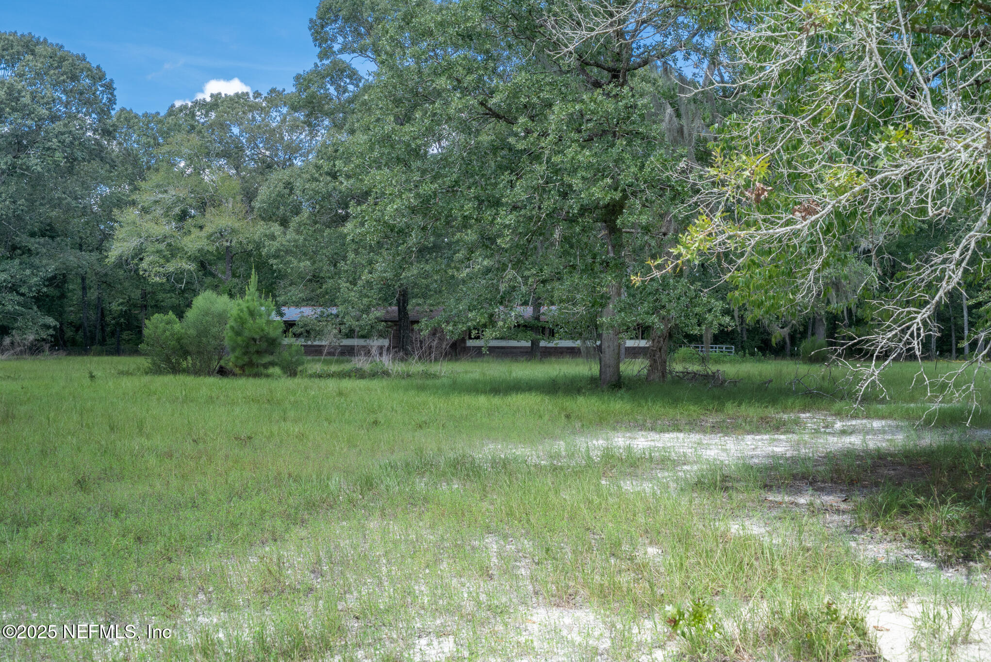 181040 Autumn Road Hilliard, FL 32046 - Photo 35 of 46 a backyard of a house with lots of green space and fountain