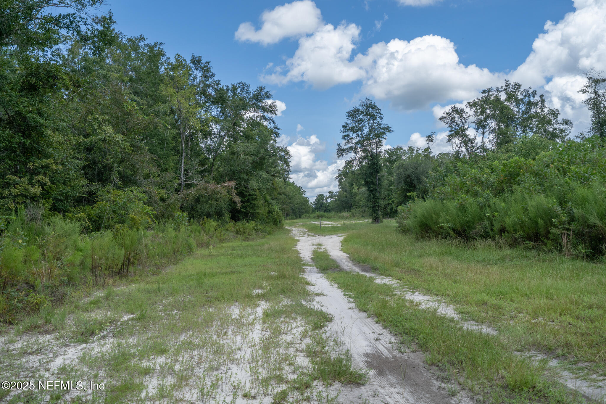 181040 Autumn Road Hilliard, FL 32046 - Photo 37 of 46 a view of a big yard with large trees