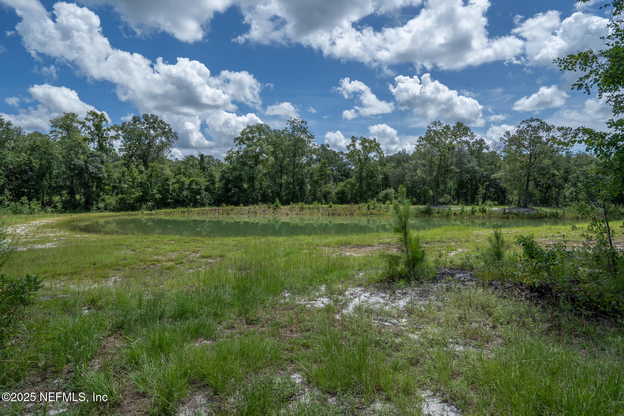 181040 Autumn Road Hilliard, FL 32046 - Photo 38 of 46 a view of a field with trees in the background