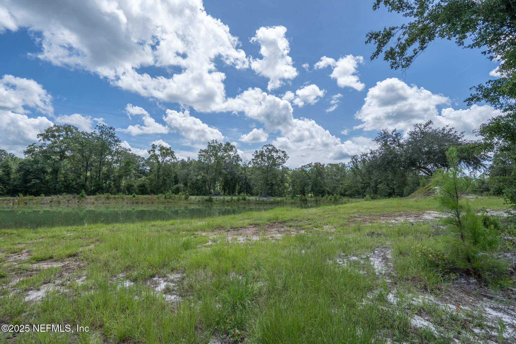 181040 Autumn Road Hilliard, FL 32046 - Photo 39 of 46 a view of field with trees in the background