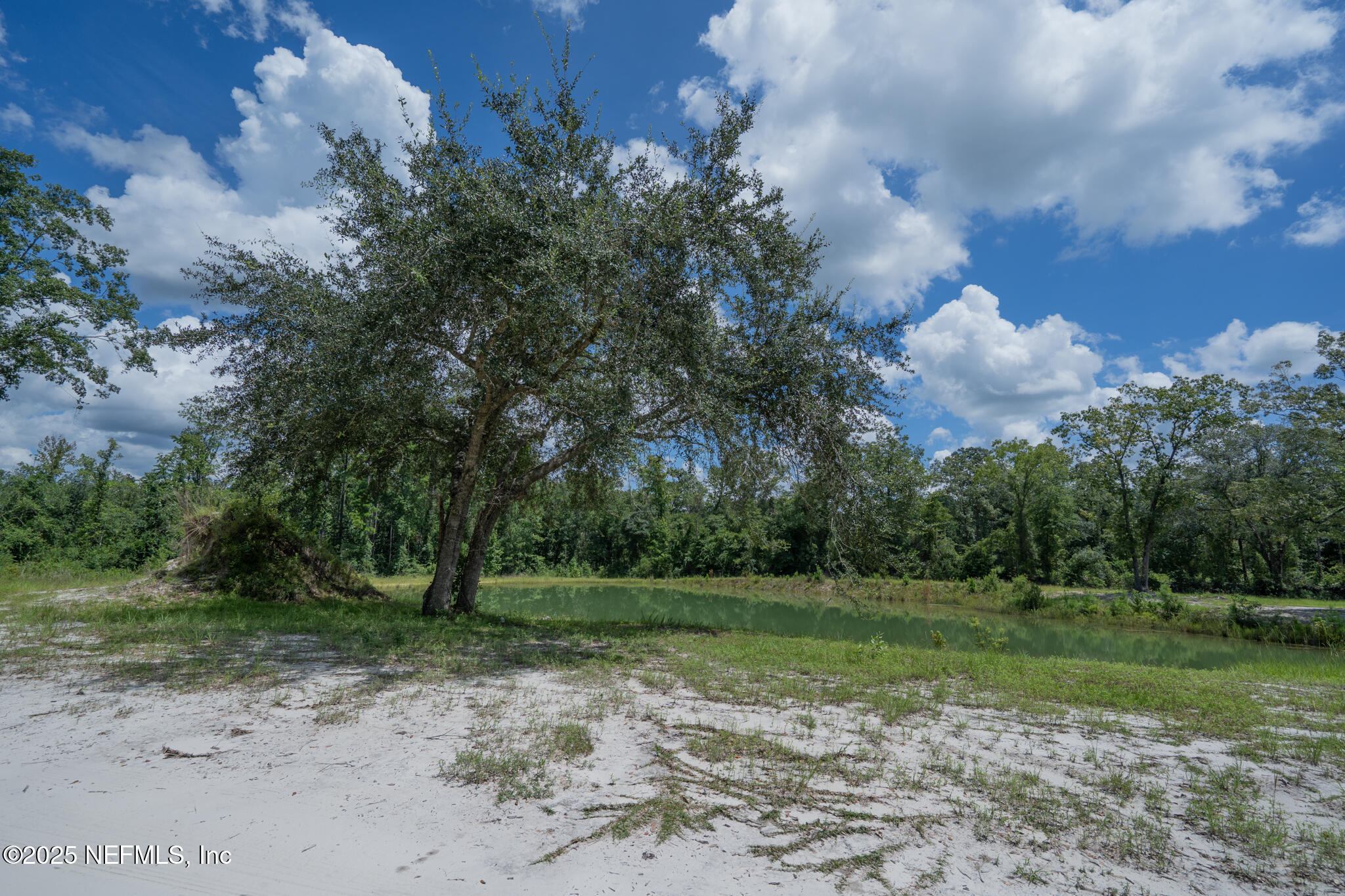 181040 Autumn Road Hilliard, FL 32046 - Photo 40 of 46 a view of a park