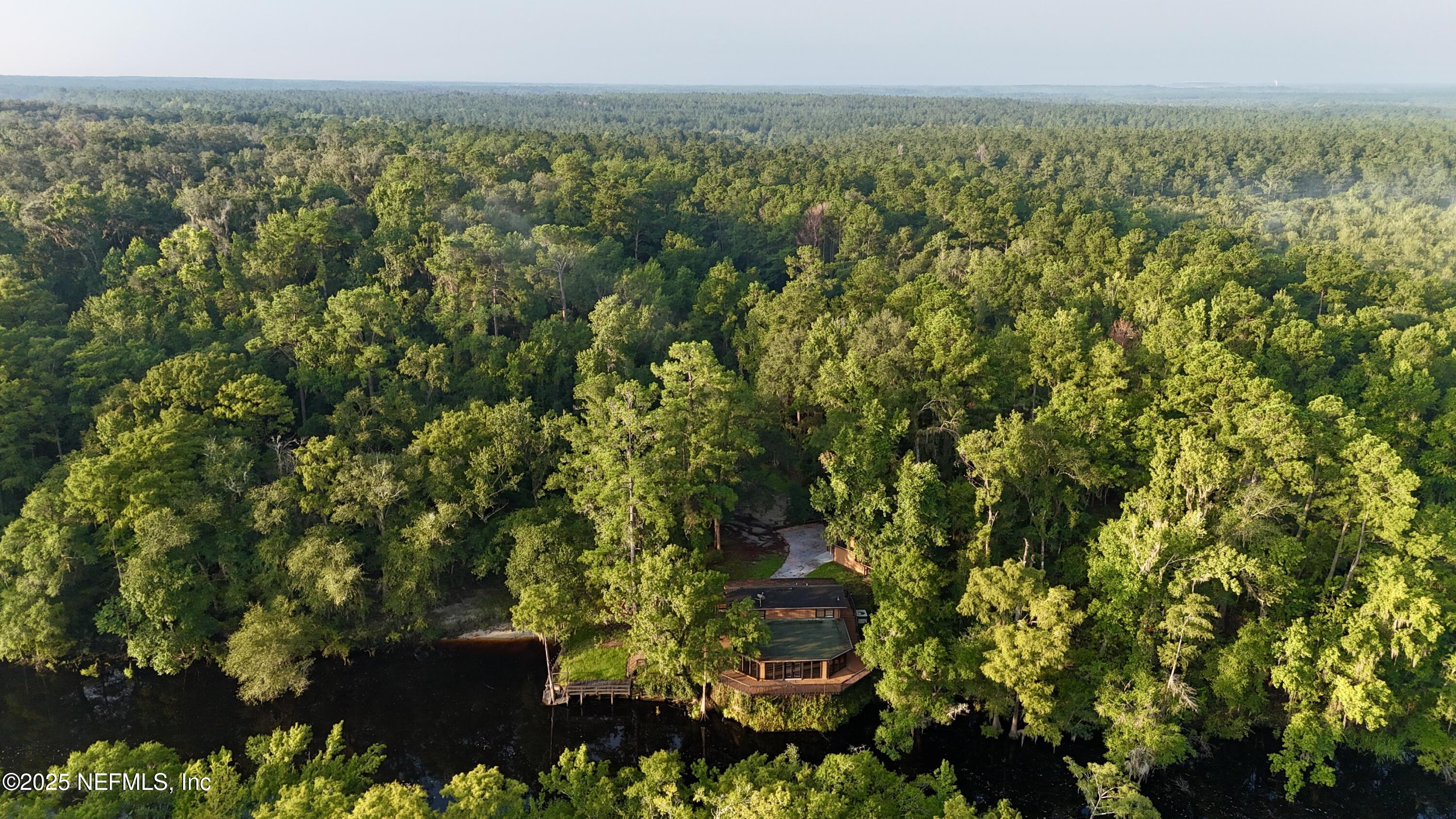 181040 Autumn Road Hilliard, FL 32046 - Photo 4 of 46 a view of a bunch of trees