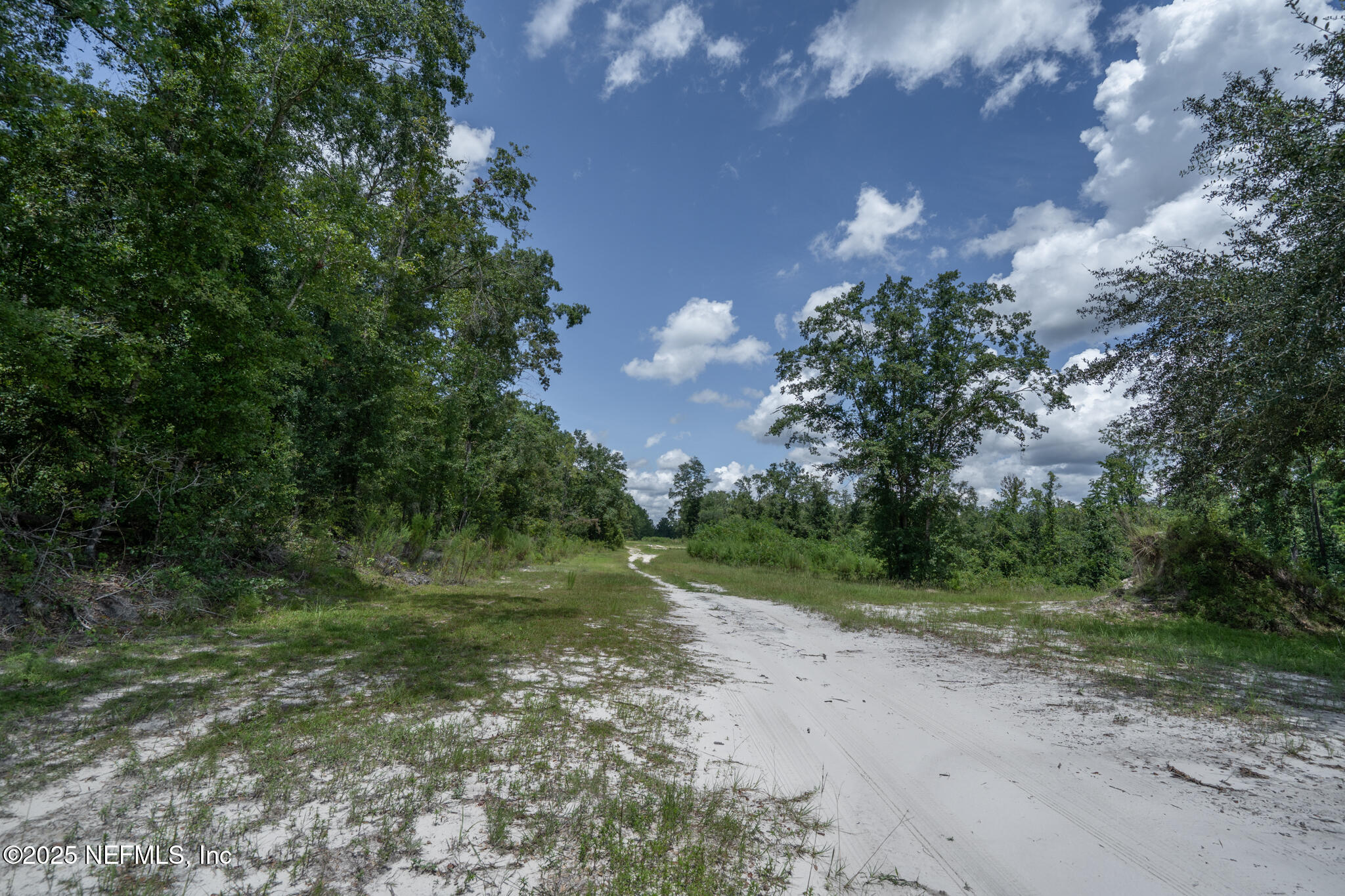 181040 Autumn Road Hilliard, FL 32046 - Photo 41 of 46 a view of a road with a yard