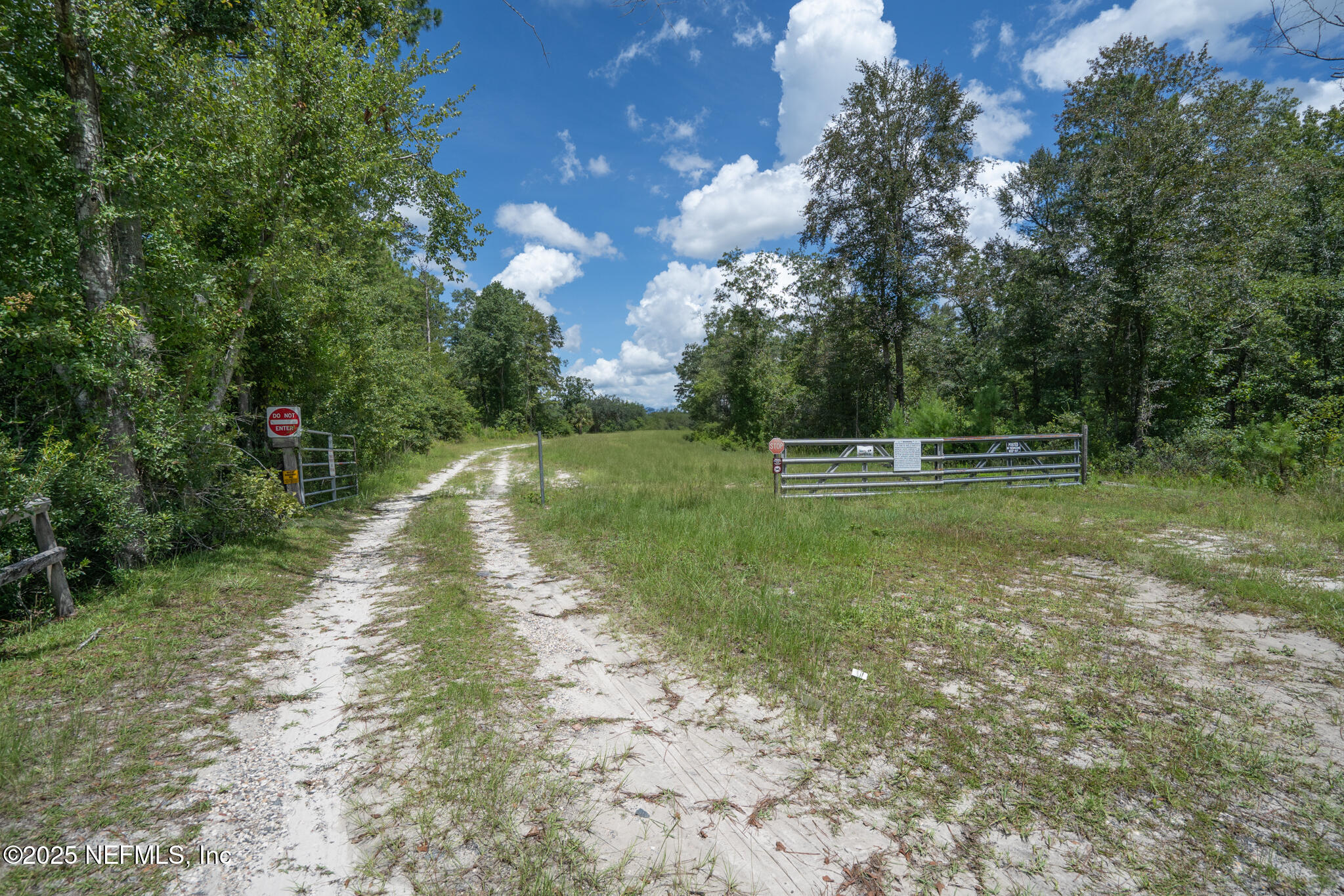 181040 Autumn Road Hilliard, FL 32046 - Photo 42 of 46 a big yard with swimming pool and green space