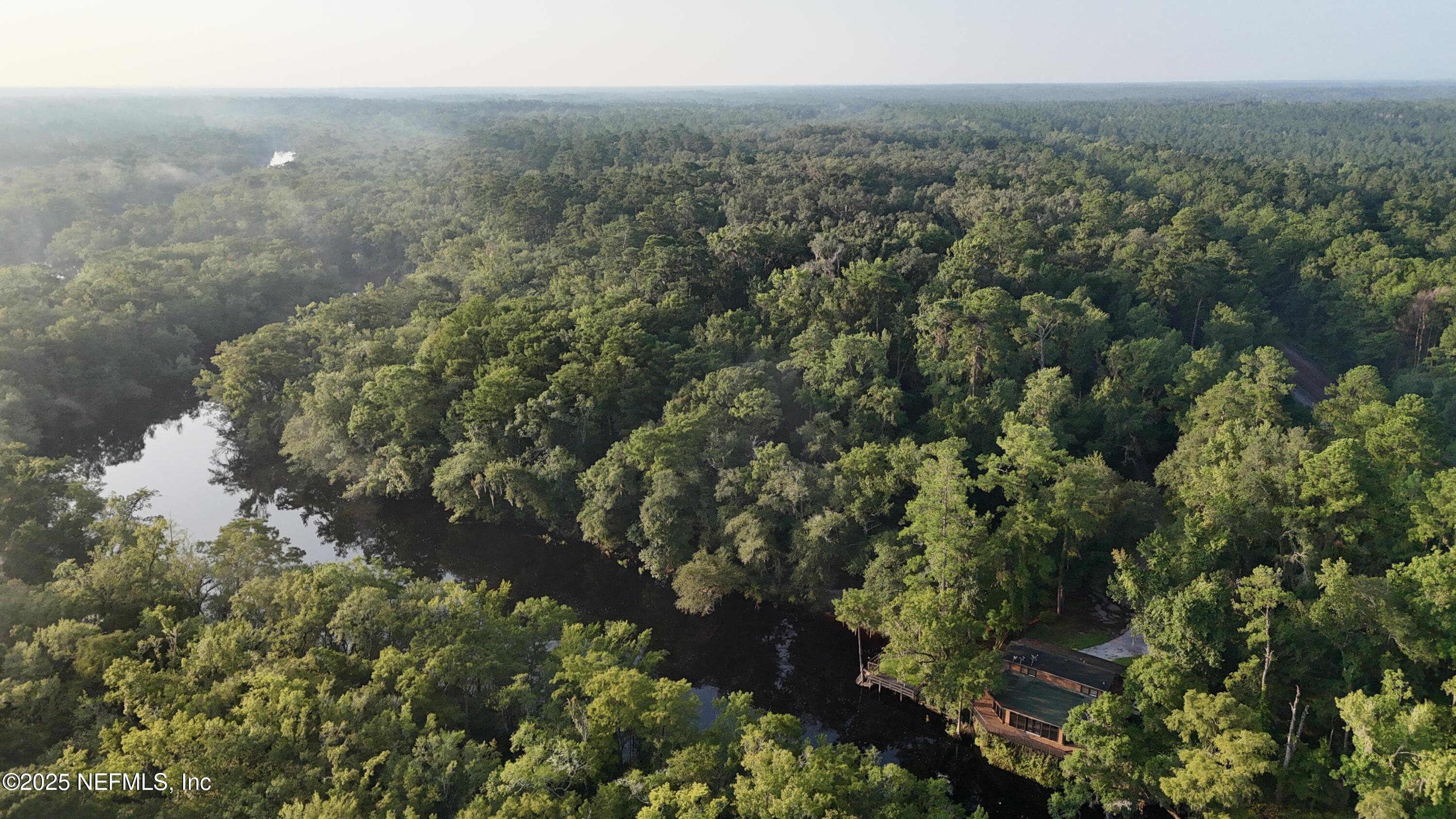 181040 Autumn Road Hilliard, FL 32046 - Photo 5 of 46 a view of a lush green forest with lots of trees