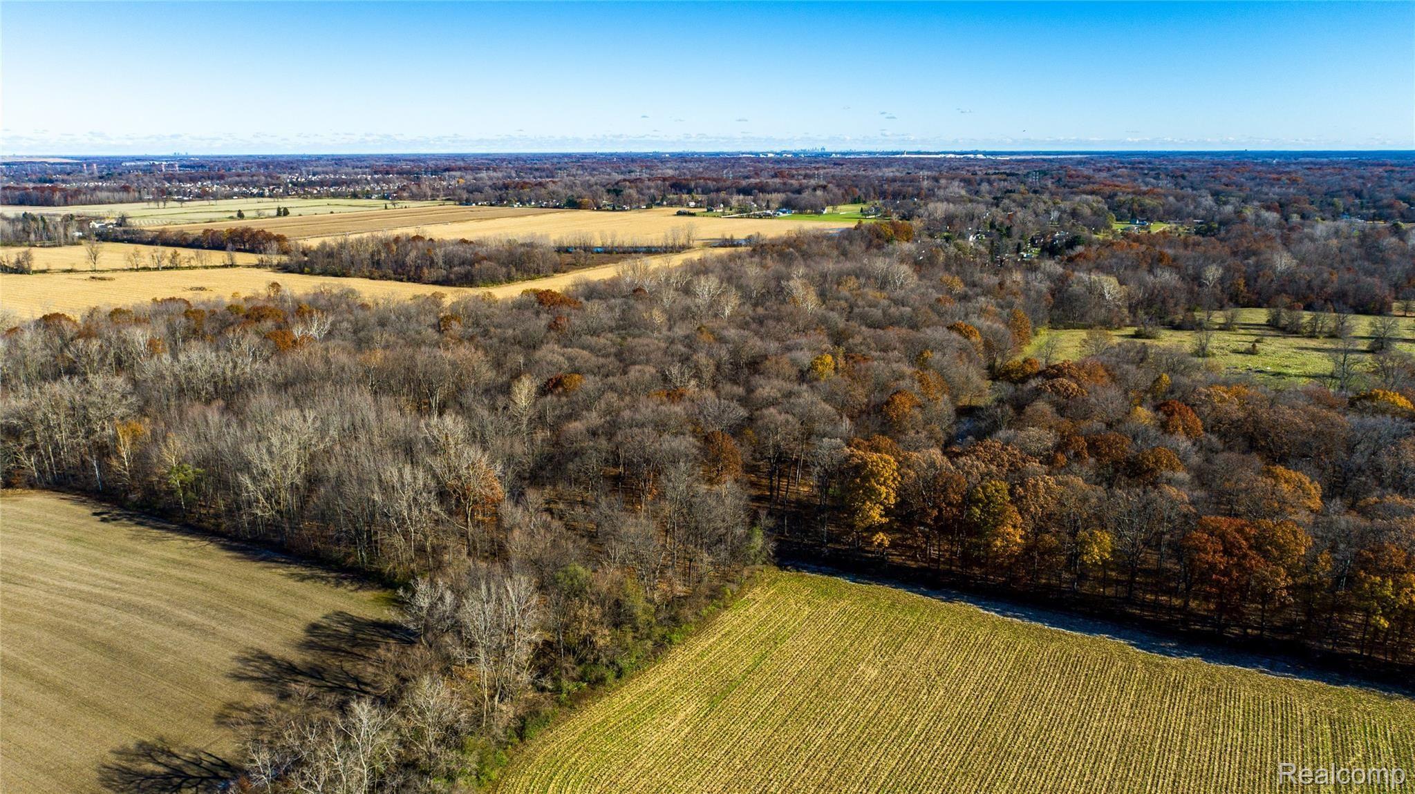 3 Burtig Road Belleville, MI 48111 - Photo 3 of 7 Gallery Image 3
