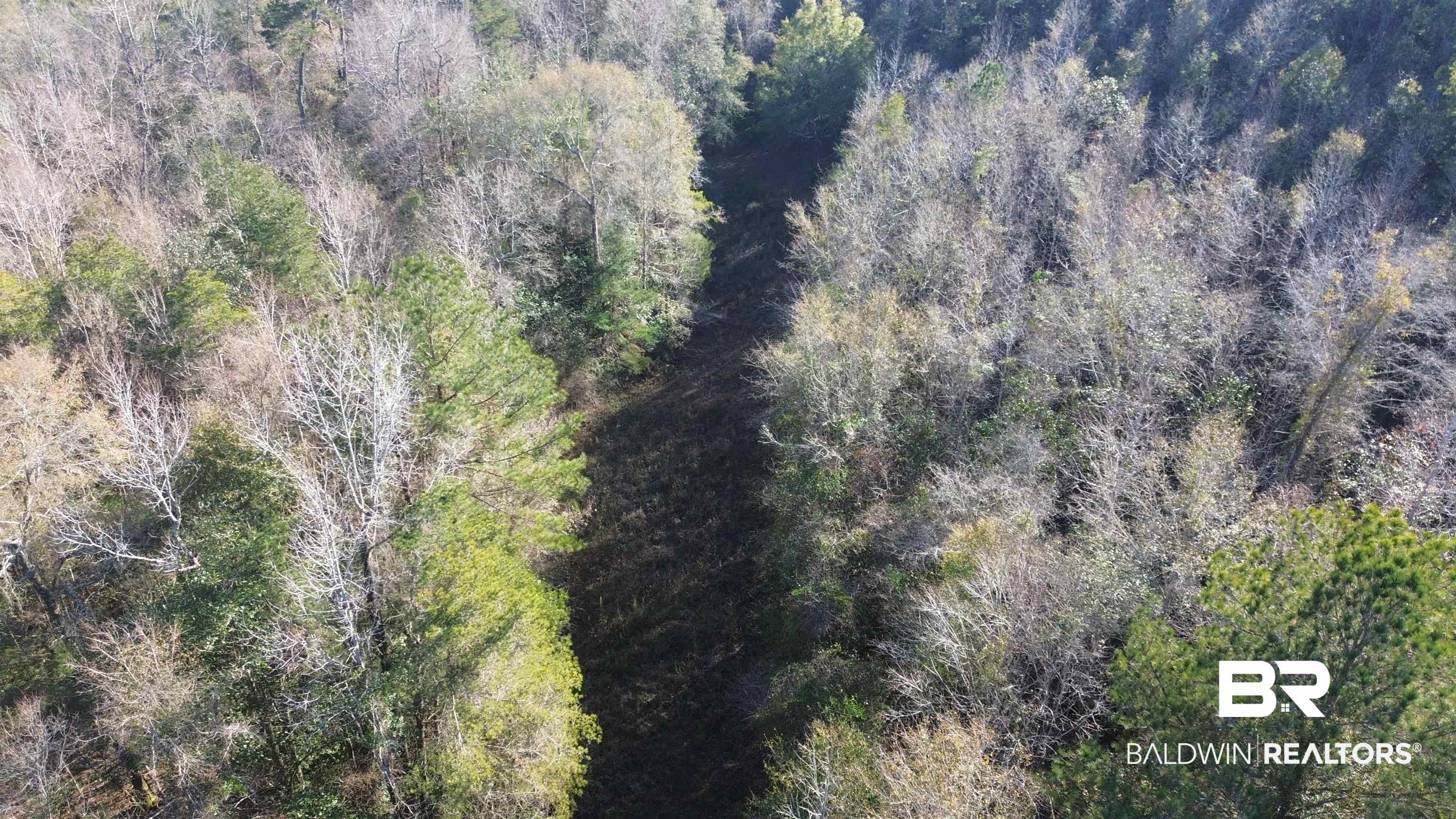 756 Ted Bates Road Evergreen, AL 36401 - Photo 23 of 28 Drone / aerial view