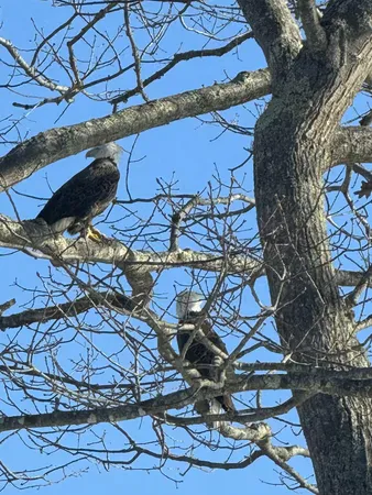$3,299,000 | 70 Maquoit Drive, Freeport, ME 04032