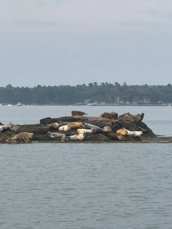 $3,299,000 | 70 Maquoit Drive, Freeport, ME 04032