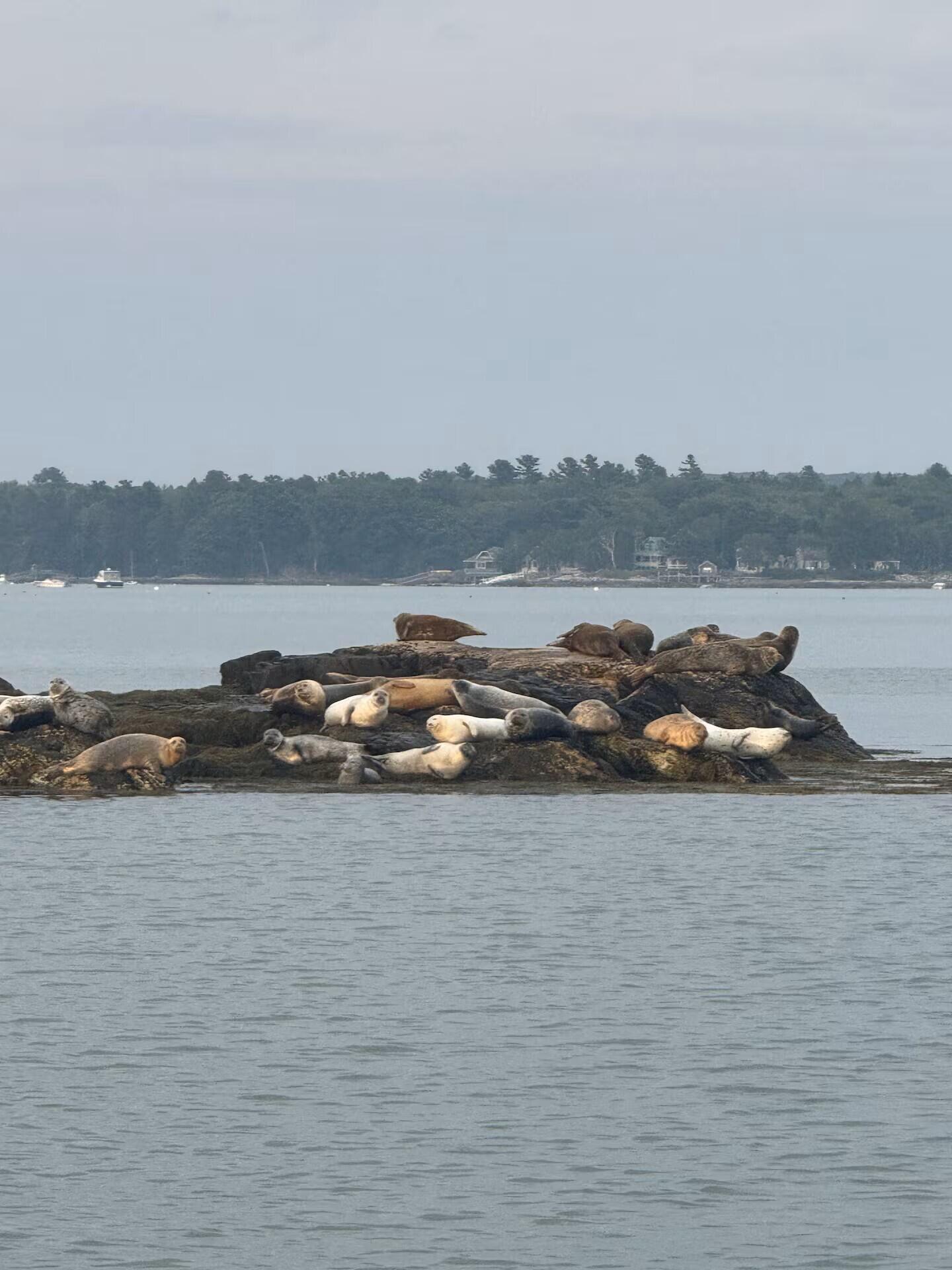 70 Maquoit Drive Freeport, ME 04032 - Photo 36 of 38 Beach Seals
