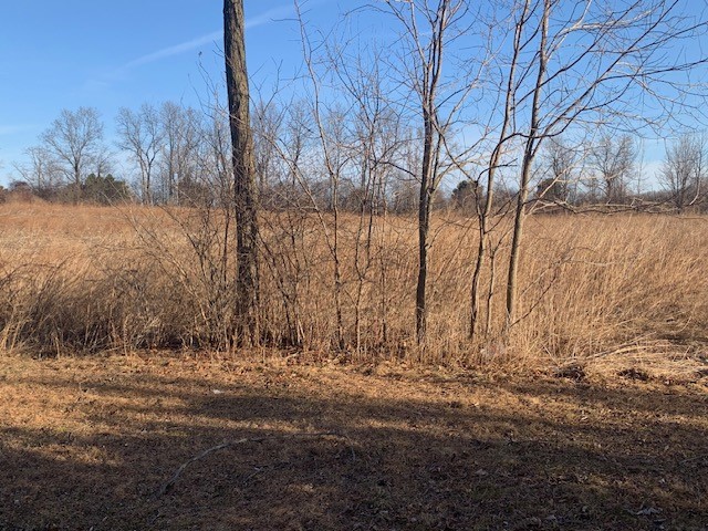 4194 County Road 18 Gorham, NY 14424 - Photo 10 of 29