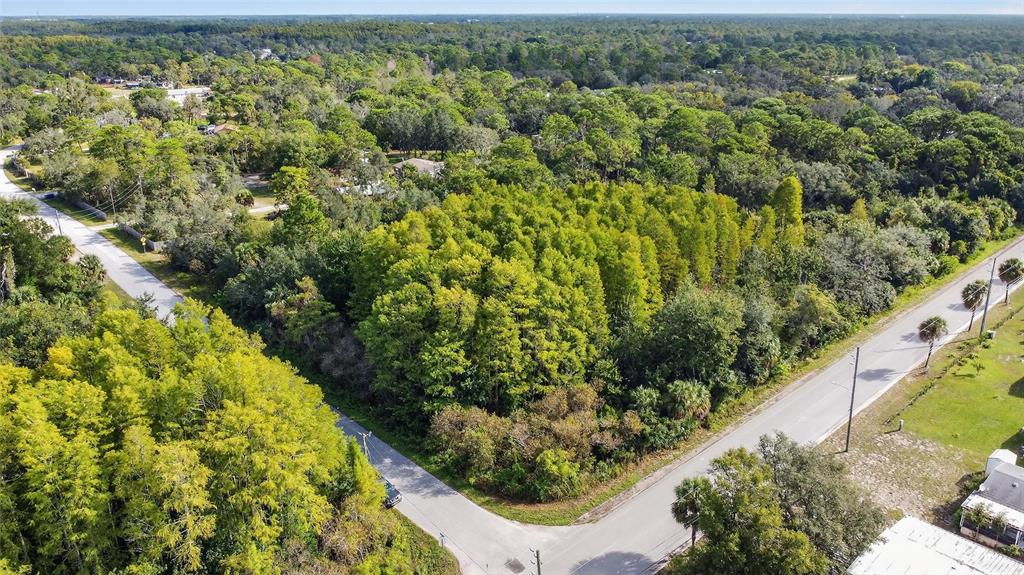 a view of a garden with an outdoor space
