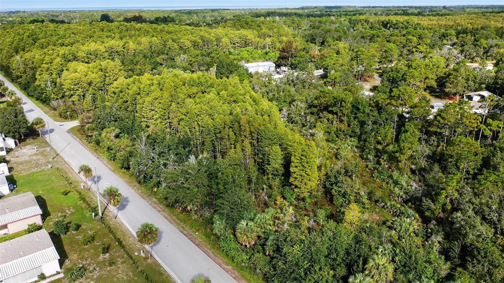 17010 Ridgeline Trail Hudson, FL 34667 - Photo 2 of 7