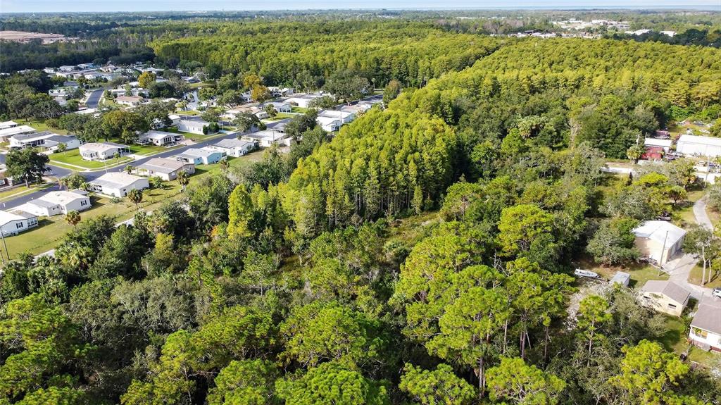 17010 Ridgeline Trail Hudson, FL 34667 - Photo 3 of 7 a view of a city