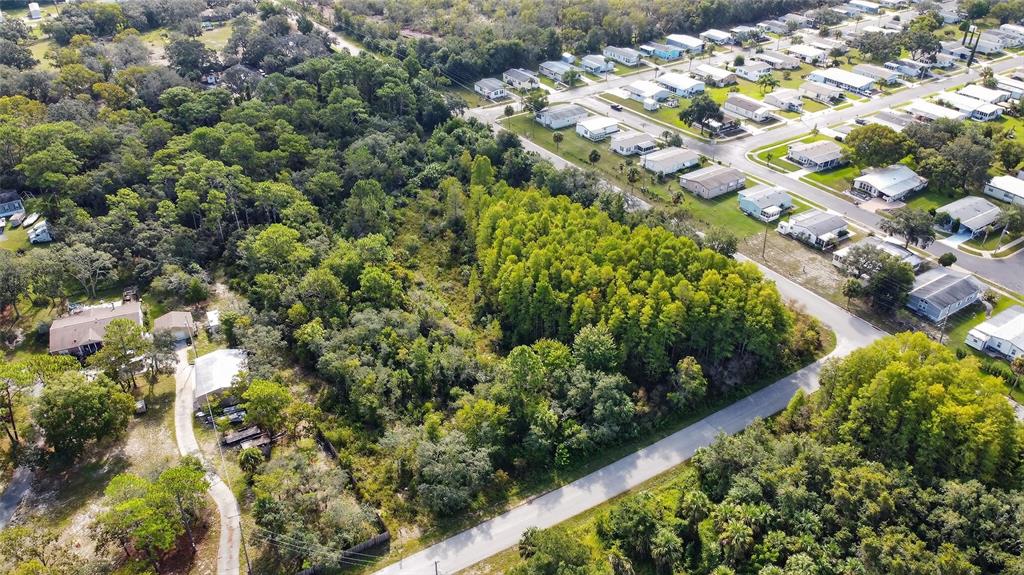 17010 Ridgeline Trail Hudson, FL 34667 - Photo 5 of 7 a view of a garden with a plant