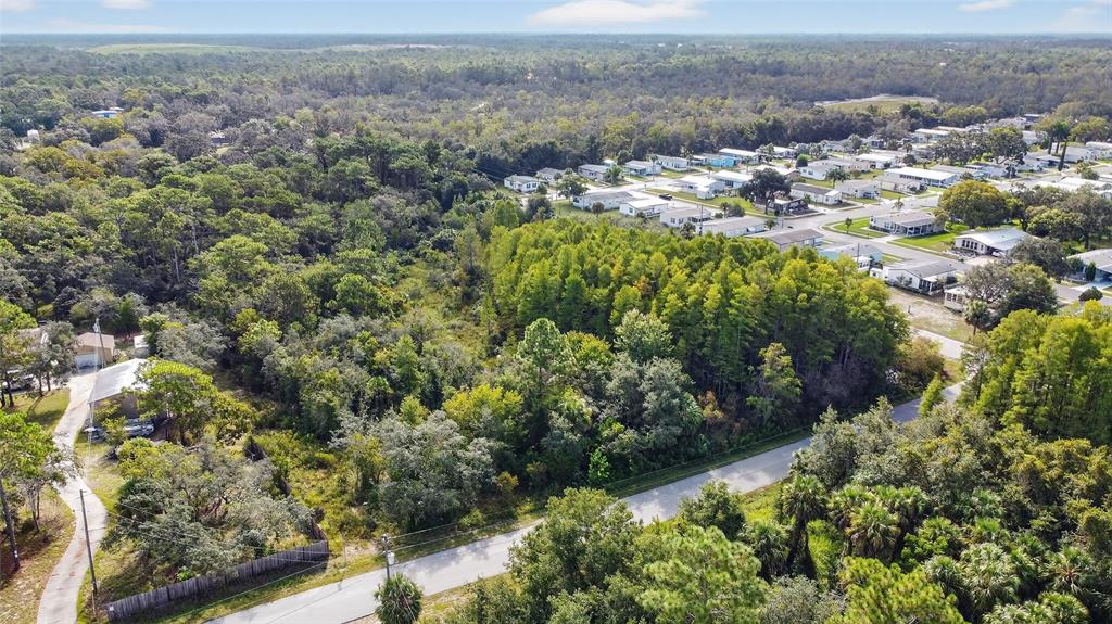 17010 Ridgeline Trail Hudson, FL 34667 - Photo 6 of 7 an aerial view of a houses with a yard