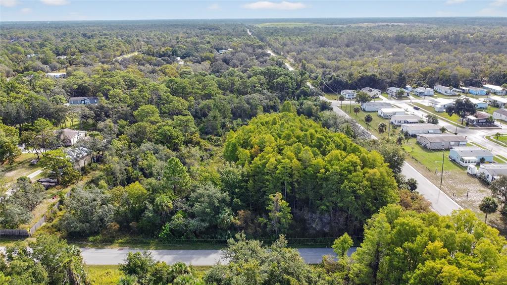 17010 Ridgeline Trail Hudson, FL 34667 - Photo 7 of 7 an aerial view of a houses with a yard