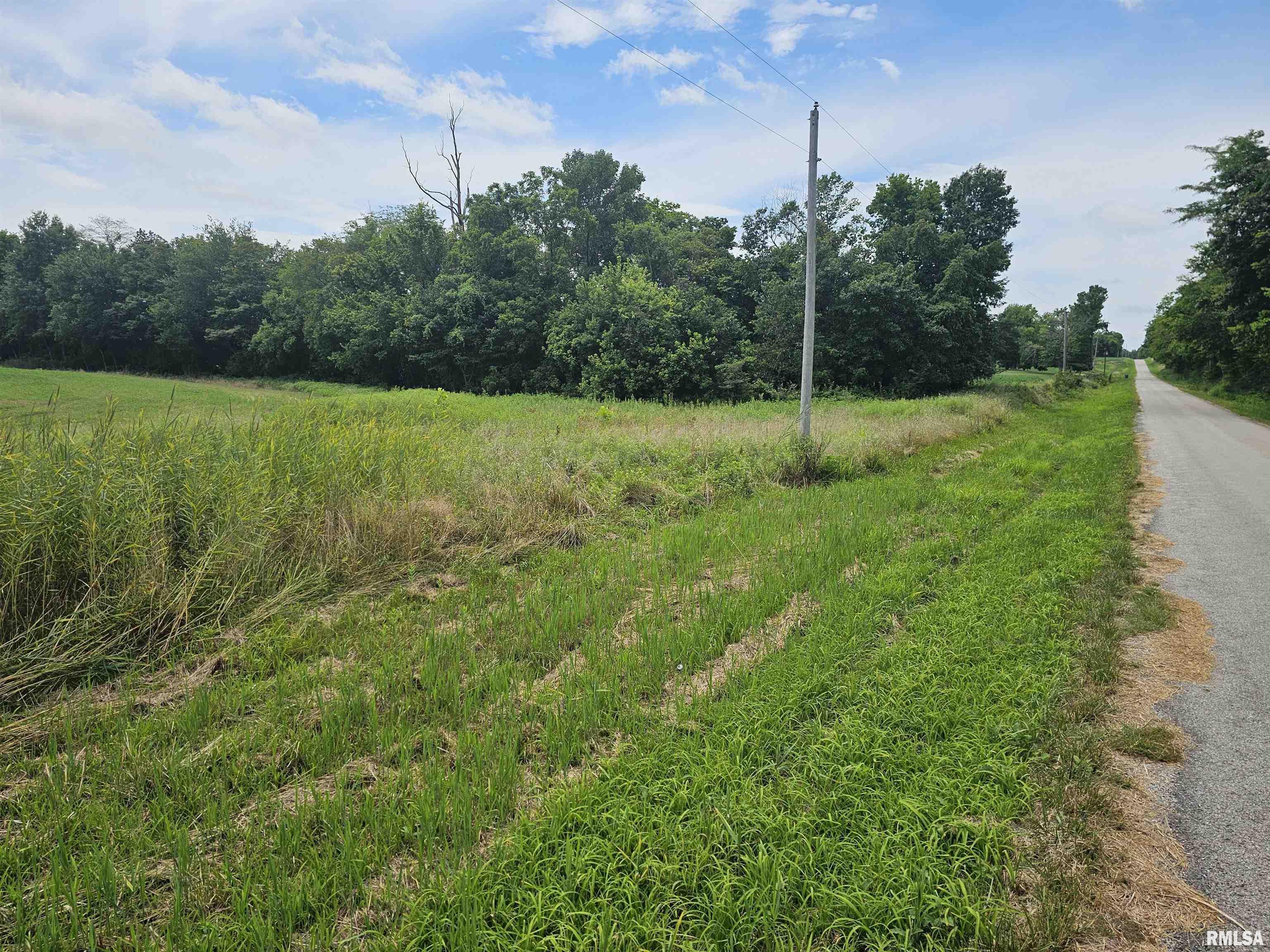 0 Roseborough Road Sparta, IL 62286 - Photo 3 of 6