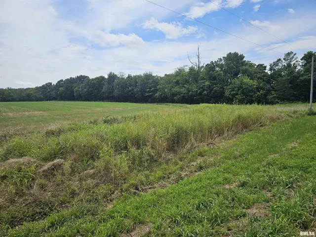 $98,500 | 0 Roseborough Road, Sparta, IL 62286