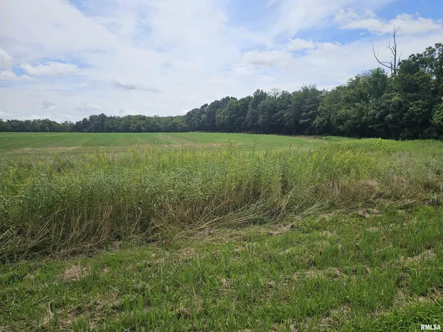 $98,500 | 0 Roseborough Road, Sparta, IL 62286