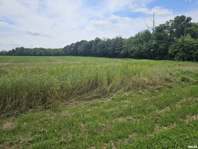 $98,500 | 0 Roseborough Road, Sparta, IL 62286