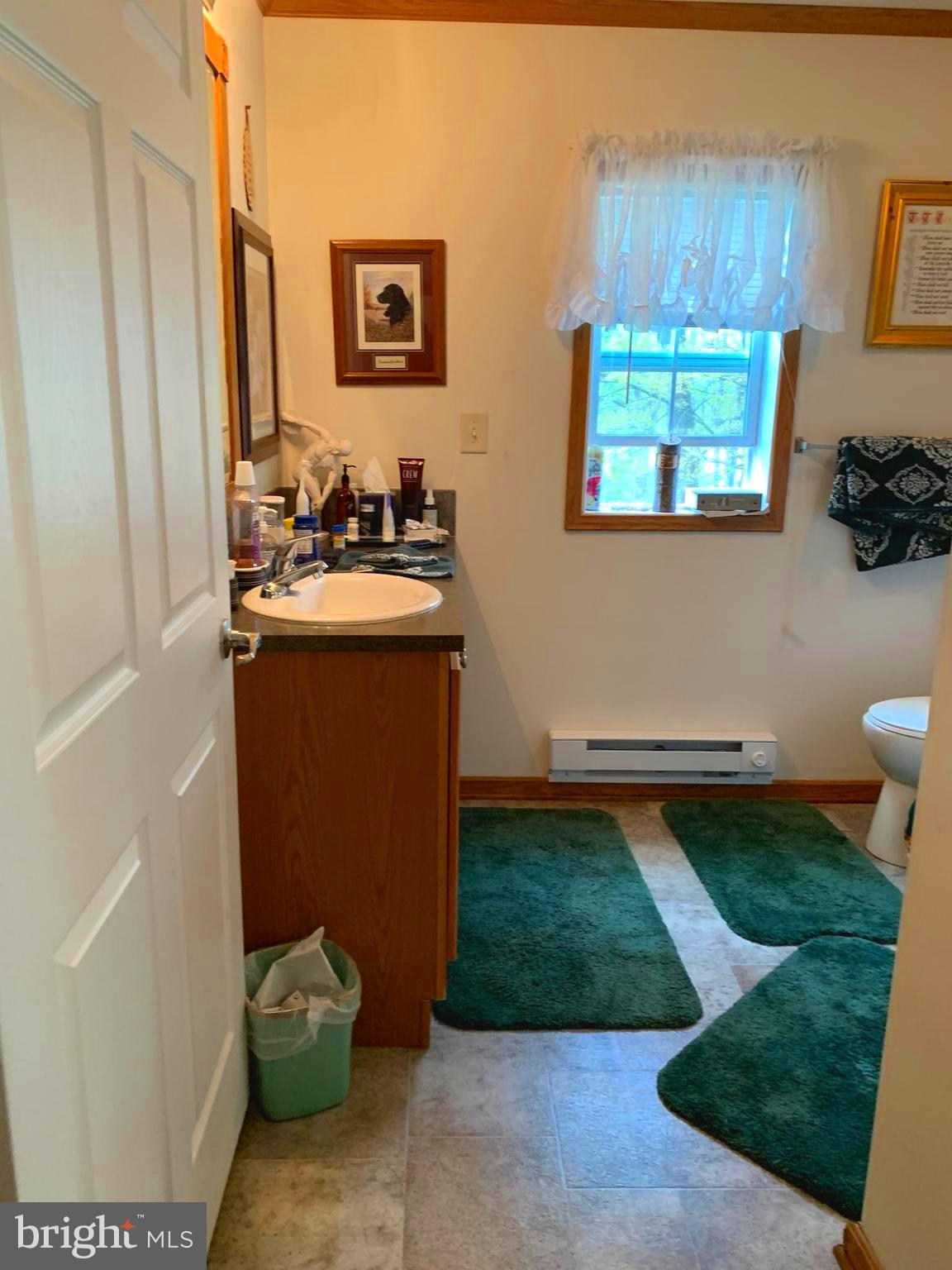 4248-4250 Poole ( 2 Separate Ranchers) Road Finksburg, MD 21048 - Photo 64 of 82 Primary Bathroom w Great Natural Light