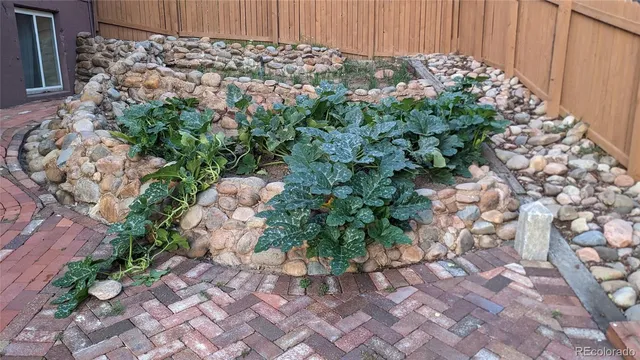 a view of a garden with a pathway