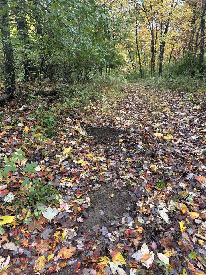 4680 Fitzpatrick Road Jonesville, MI 49250 - Photo 59 of 79